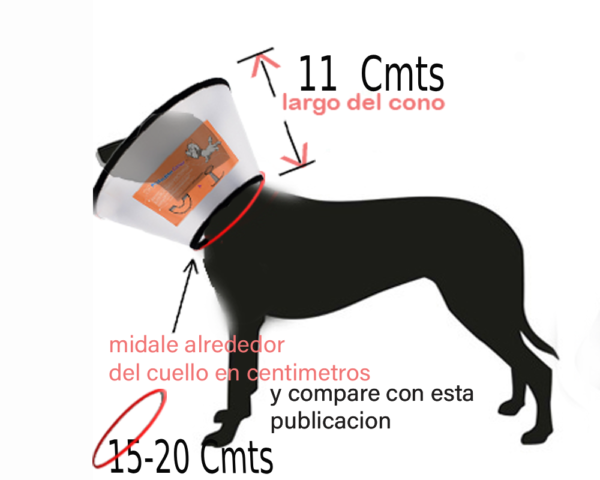 COLLAR ISABELINO mascotas entre  (15-a-20 Cmts)   alrrededor del cuello - Image 3