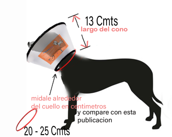 COLLAR ISABELINO mascotas entre  (20-a-25 Cmts)   alrrededor del cuello - Image 3