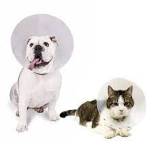 COLLAR ISABELINO mascotas entre  (15-a-20 Cmts)   alrrededor del cuello